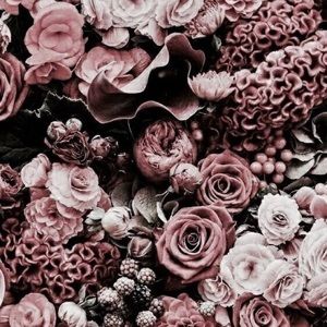 Meet your Posher, Joelle